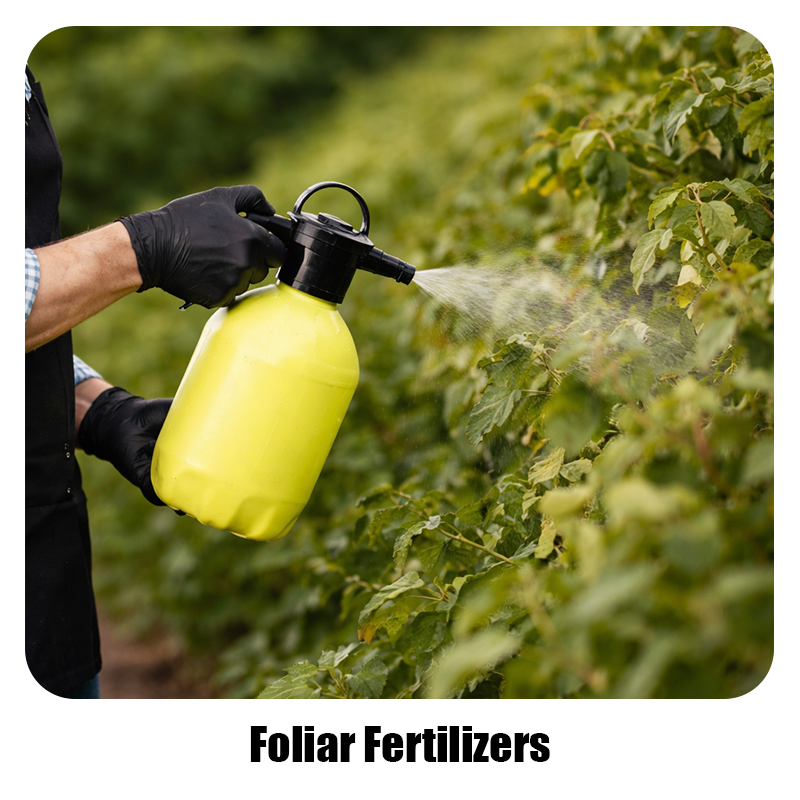 Foliar Fertilizers