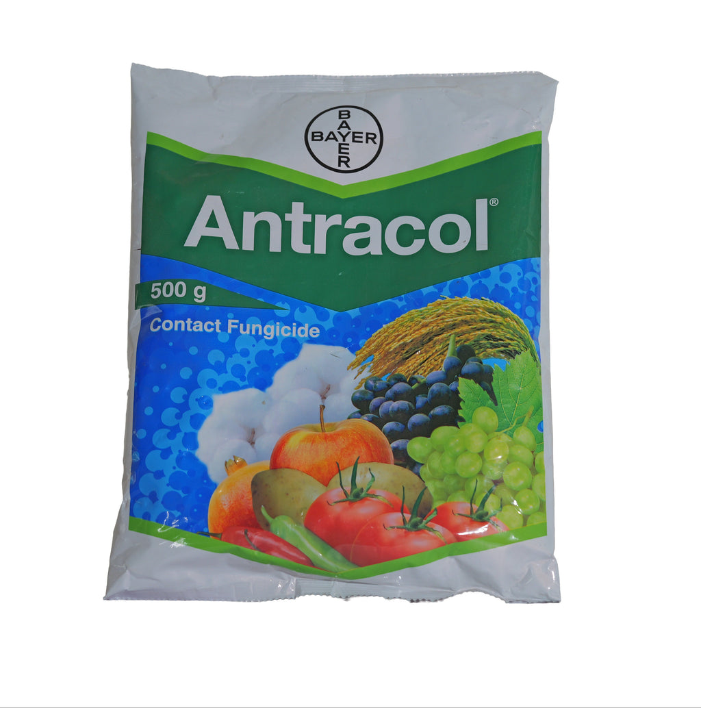 Antracol 70% WP Fungicide (Propineb) 500g