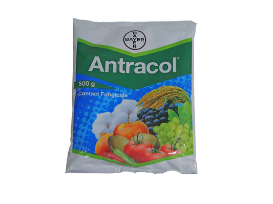Antracol 70% WP Fungicide (Propineb) 500g | Broad Spectrum Contact Fungicide for Crop Disease Protection